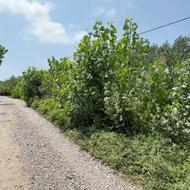 فروش زمین مسکونی 230 متر در روستای ماشک آستانه