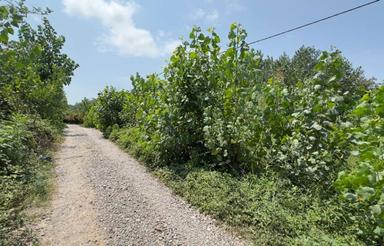فروش زمین مسکونی 230 متر در روستای ماشک آستانه