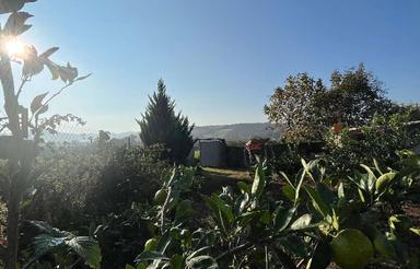 فروش فوری زمین 1600متری بعد از جنگل زارع