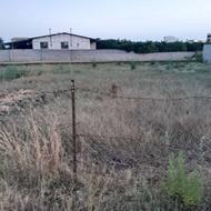 فروش 250 متر زمین ساحلی