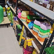 پامرانین سگ‌جیبی بسیار ریز,واگذاری