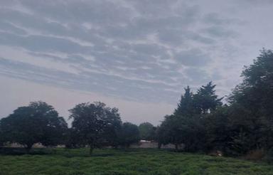 فروش زمین مسکونی 2800 متر در سورخانی