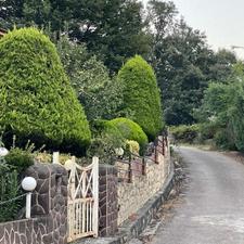 فروش تخصصی انواع زمین در روستای زیبای شکتا