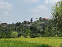 زمین مسکونی 212متری ویوابدی جنگل در جاده نظامی در شیپور