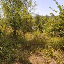 فروش زمین مسکونی 1577 متر در آزارستانکی