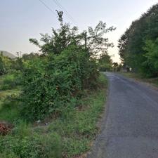 فروش زمین مسکونی 50000 متر در ازبرم