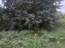 زمین مسکونی 168 متری در مرکزشهر در شیپور