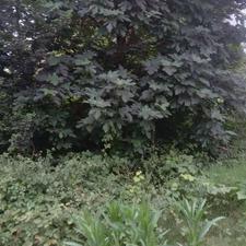 زمین مسکونی 168 متری در مرکزشهر