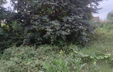 زمین مسکونی 168 متری در مرکزشهر