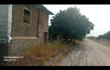 فروش زمین برای دامداری 200 متر قبل دامیر بر کانال آبیاری