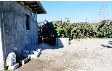 فروش فوری باغ کیوی... 4000متر