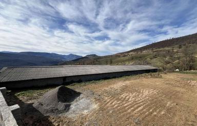 فروش مرغداری گوشتی قابل تبدیل ب مرغ مادر