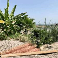 فروش ویلا دوبلکس و جنگلی بهمراه استخر جایی دنج در تنکابن