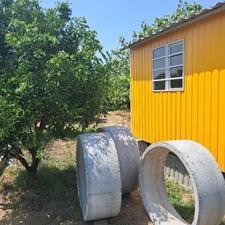 فروش زمین کشاورزی 600 متر در عربخیل