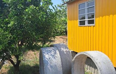 فروش زمین کشاورزی 600 متر در عربخیل