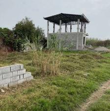 فروش زمین مسکونی 200 متر در علویکلامیر