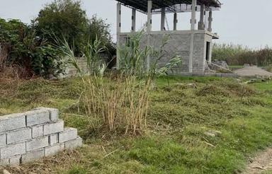 فروش زمین مسکونی 200 متر در علویکلامیر