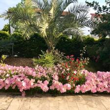 فروش پلاک ساحلی شهرک قناری چپکرود