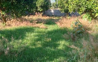 فروش زمین 2500متر در بلوار منفرد