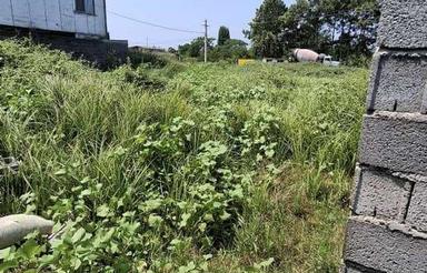 فروش زمین مسکونی 265 متر در حسین آباد