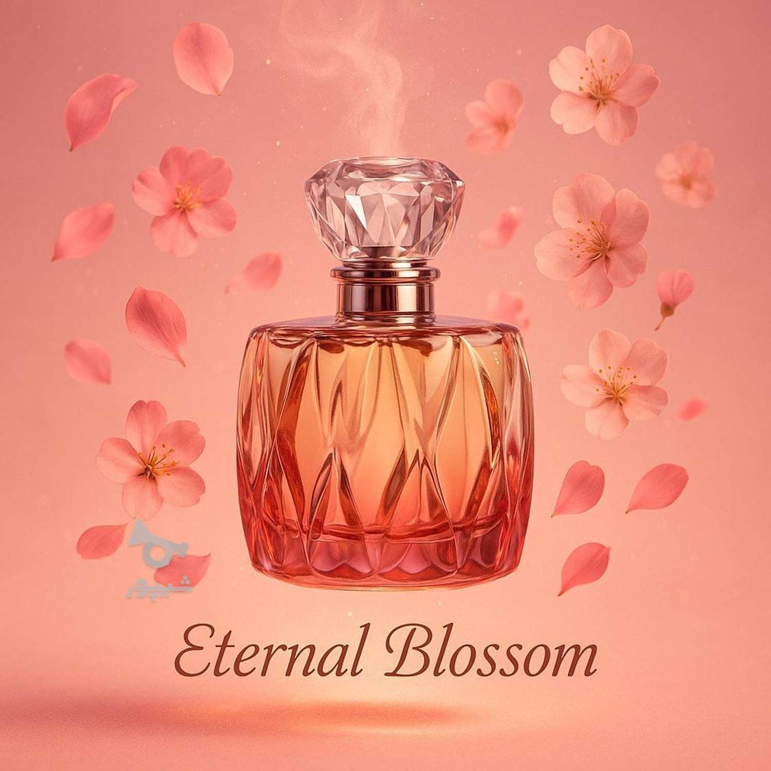 طراح گرافیست حرفه ای - undefined