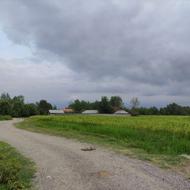 فروش زمین کشاورزی 11000 متر در نشرودکل