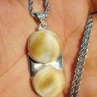 مهره مار اصل پیتون باگردنبند نقره اصل