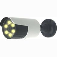 دوربین5مگاپیکسل دیددرشب رنگی