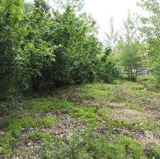 زمین مسکونی 450 متر در زمیدان