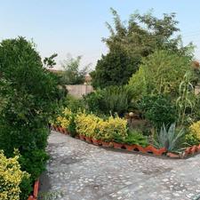 باغ ویلا 800 متری حیاط سازی بسیار زیبا