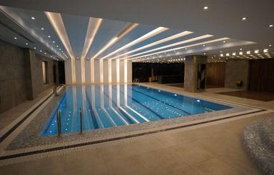 رونیکاپالاس دردشت6000واحد در قاب یک اثرهنری