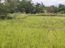 فروش زمین کشاورزی 6300 متر در لشکاجان در شیپور