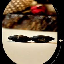 مهره مار اصل برنجی جفت سیاه شناسنامه دار