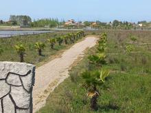 یک قطعه زمین ارزشمند در شهرک گلاره، موقعیتی بی‌نظیر . در شیپور