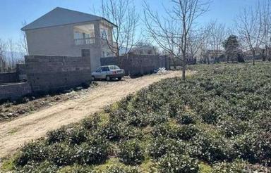 زمین مسکونی 250 متری در لیش سیاهکل