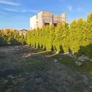 زمین 215متر در سرخرود اقساط یک ساله بدون بهره