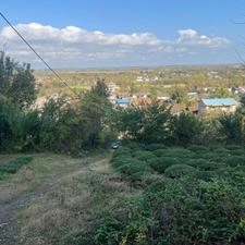 زمین مسکونی273متری در لیالستان لاهیجان