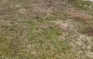 زمین404متری مناسب ساخت در سورکوه املش