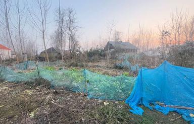 زمین مسکونی با سند قطعی در روستای سده کوچصفهان