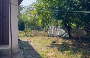 زمین760متری یا خانه قدیمی در سوخته کوه لاهیجان