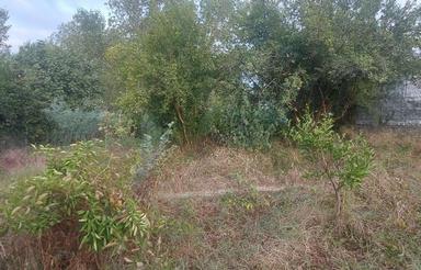 فروش زمین مسکونی 280 متری در قادیکلای بزرگ