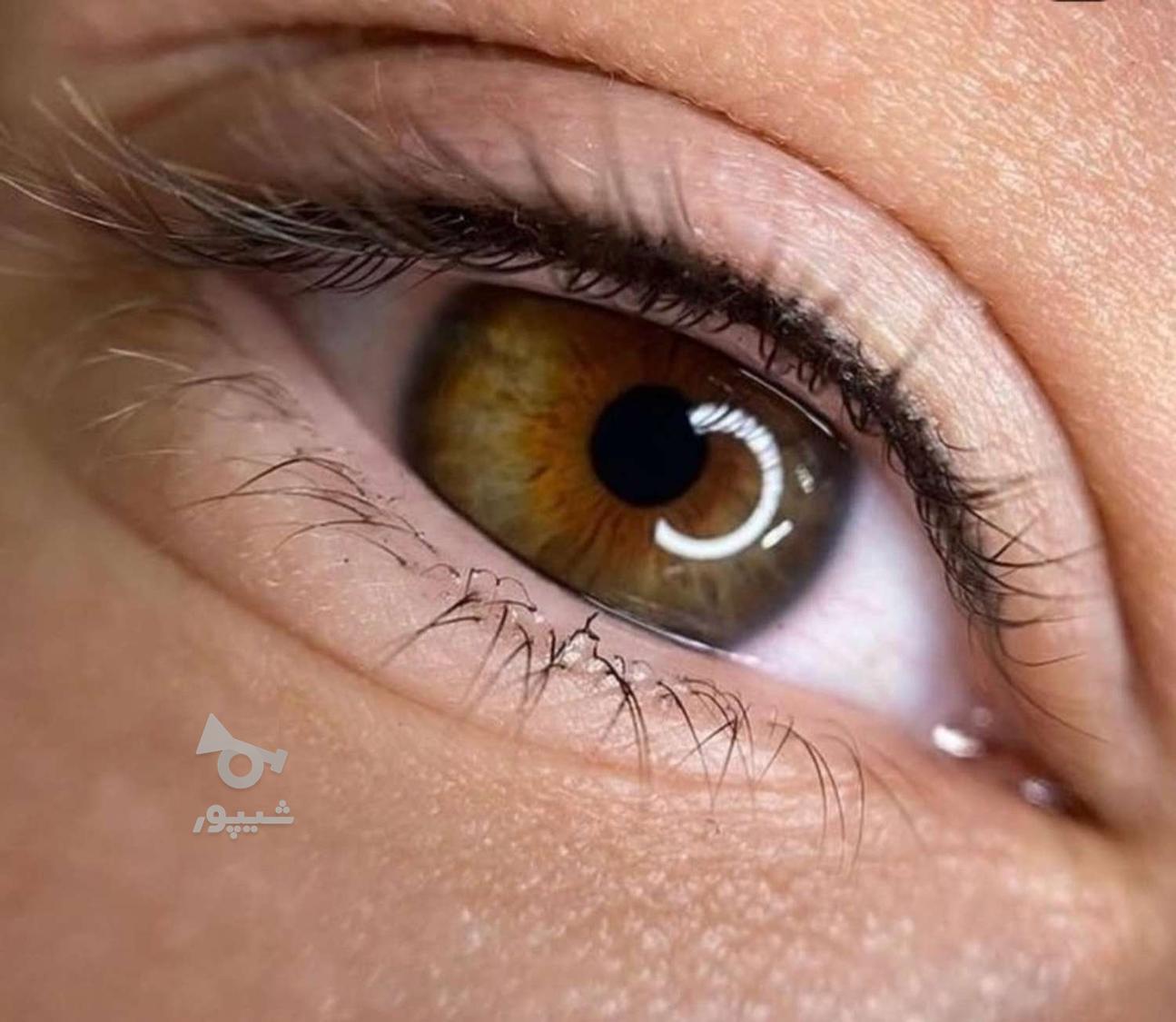 رژ دائم فیبروز میکروبلیدینگ بن مژه خط لب خط چشم