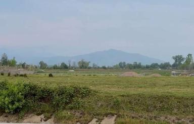 زمین مسکونی 450 متری سنددار در هلستان