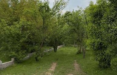 زمین مسکونی 255 متری سنددار در دهبنه