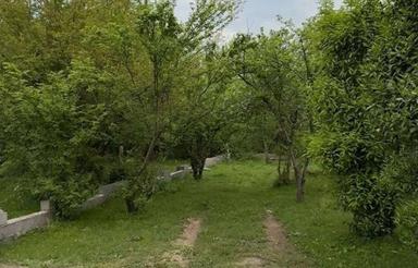 زمین مسکونی 410 متری سنددار در دهبنه سیاهکل