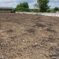 فروش زمین 3000 متر در جاده جویبار به قائمشهر