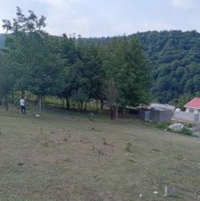 فروش 685 متر زمین مسکونی جنگلی ویو ابدی سوادکوه