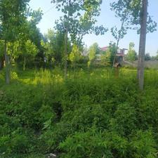 فروش زمین مسکونی 400 متر در حشکوا