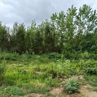 فروش زمین مسکونی 290 متر در مرکز شهر