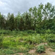 فروش زمین مسکونی 290 متر در مرکز شهر